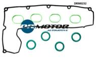 DRM0232 DRMOTOR - Zestaw uszczelek pokrywy zaworów Ford/PS A/Fiat/Volvo 2,0d