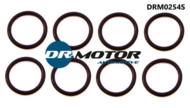 DRM0254S DRMOTOR - Zestaw oringów dyszy wtryskiwacza Opel 1 ,7cdi/dth 8szt