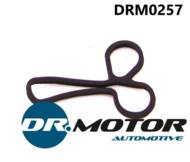 DRM0257 DRMOTOR - Uszczelka chłodnicy oleju Ford Transit 0 0-06 2,4d
