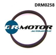 DRM0258 DRMOTOR - Uszczelka przewodu powietrza do turbiny Ford 2,0tdci