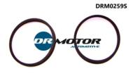 DRM0259S DRMOTOR - Zestaw uszczelek kolektora ssącego Ford 10- diesel