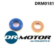 DRM0181 DRMOTOR - ZESTAW NAPRAWCZY WTRYSKIWACZA Ford/VW/PS A 1,0-1,4 11-