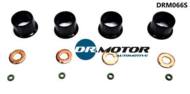 DRM066S DRMOTOR - Zestaw montażowy wtryskiwacza z oringami na przewód przelewo