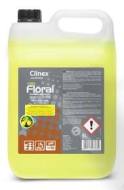 77-898 AMTRA - CLINEX FLORAL - CITRO 10 L