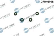 DRM0300S DRMOTOR - Zestaw oringów króćca przewodu przelewow ego Ford/PSA 1,6d 4