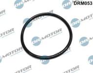DRM053 DRMOTOR - Uszczelka filtra paliwa PSA 1,9d 