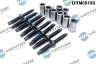 DRM0619S DRMOTOR - Zestaw śrub mocowania wtryskiwacza Ford/ PSA 2,0d 98-