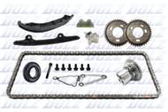 SKCF013 DOLZ - Timing chain kit 