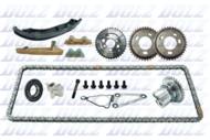 SKCF014 DOLZ - Timing chain kit 