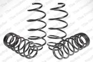 4515610 LESJO - SPORT SPRINGS CITROEN C3 1.4 / 1.4HDI / 1.6 16V   2/02-