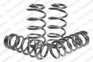 4566737 LESJO - SPORT SPRINGS TUV PEUGEOT 407 SW 2.0HDI / 2.2   5/04-