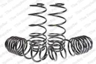 4566739 LESJO - SPORT SPRINGS PEUGEOT 107 1.0 / 1.4 HDI 6/05-