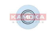 103062 KAMOKA - TARCZA HAM PRZOD 308X27 V 