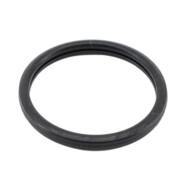 016105 MD - THERMOSTAT GASKET 
