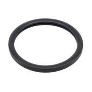 01656 MD - THERMOSTAT GASKET 