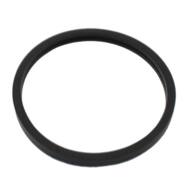 01660 MD - THERMOSTAT GASKET 