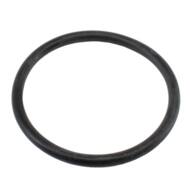 01661 MD - THERMOSTAT GASKET 
