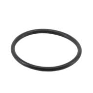 01669 MD - THERMOSTAT GASKET 