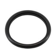 01670 MD - THERMOSTAT GASKET 