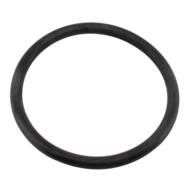 01676 MD - THERMOSTAT GASKET 