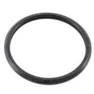 01685 MD - THERMOSTAT GASKET 