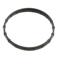 01692 MD - THERMOSTAT GASKET 