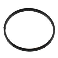 01695 MD - THERMOSTAT GASKET 