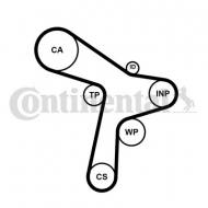 CT1168WP7 CONTI - ZESTAW ROZRZĄDU Z PASKIEM + POMPA WODY CONTINENTAL CTAM