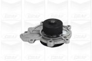 PA1068 GRAF - POMPA WODY CHEVROLET CAPTIVA 2,0D 06- 