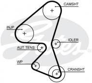 5656XS GATES - PASEK ROZRZĄDU CITROEN C4 1.6HDI 