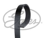 6PK730SF GATES - AR-MICRO-V BELTS 