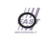 FT50601 FAST - USZCZELKA ZAWORU EGR FIAT DUCATO 14> 2.0