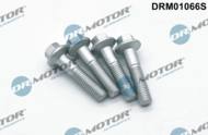 DRM01066S DRMOTOR - ZESTAW ŚRUB MOCOWANIA WTRYSKIWACZY - 4 S Ford