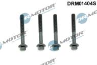 DRM01404S DRMOTOR - ZESTAW ŚRUB STOPKI WTRYSKU 4 SZTUKI RENAULT