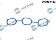 DRM01433 DRMOTOR - USZCZELKA KOLEKTORA DOLOTOWEGO PSA 