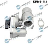 DRM61113 DRMOTOR - ZAWÓR EGR Z USZCZELKĄ FORD, JAGUAR 