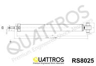 RS8025 QUATTROS - AMORTYZATOR TYŁ/REAR ->KYB 348025 