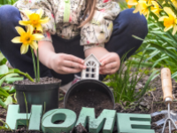 DOM / OGRÓD / GASTRONOMIA